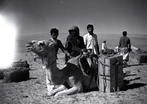 بادیه نشینان عربستان